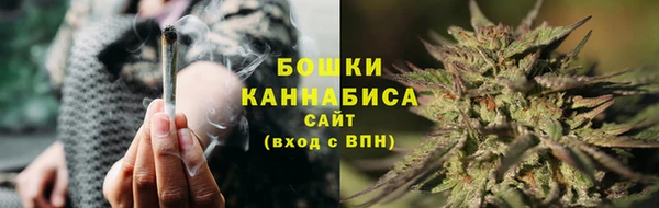 сатива Михайловск