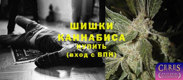 сатива Михайловск
