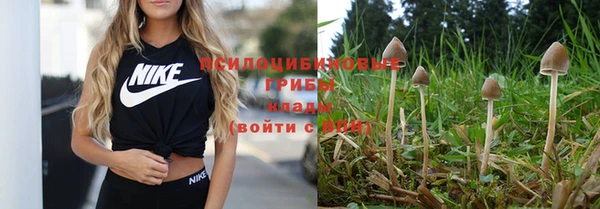 кокс Михайлов