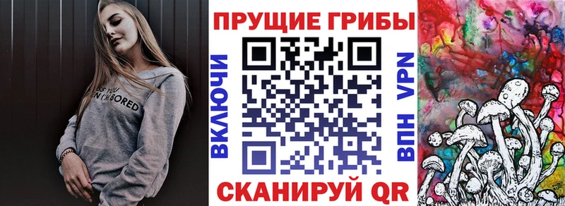Псилоцибиновые грибы Cubensis  ссылка на мегу как зайти  Павловский Посад 