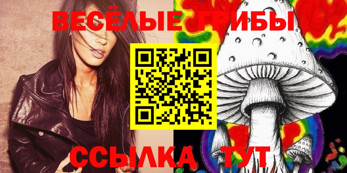 Псилоцибиновые грибы Psilocybe Павловский Посад