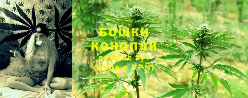 OMG вход  Павловский Посад  Конопля Ganja  купить наркотик 