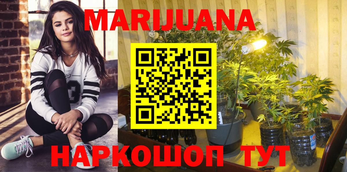 Бошки Шишки Bruce Banner  МАРИХУАНА ГИДРОПОН  Павловский Посад  Конопля VHQ 